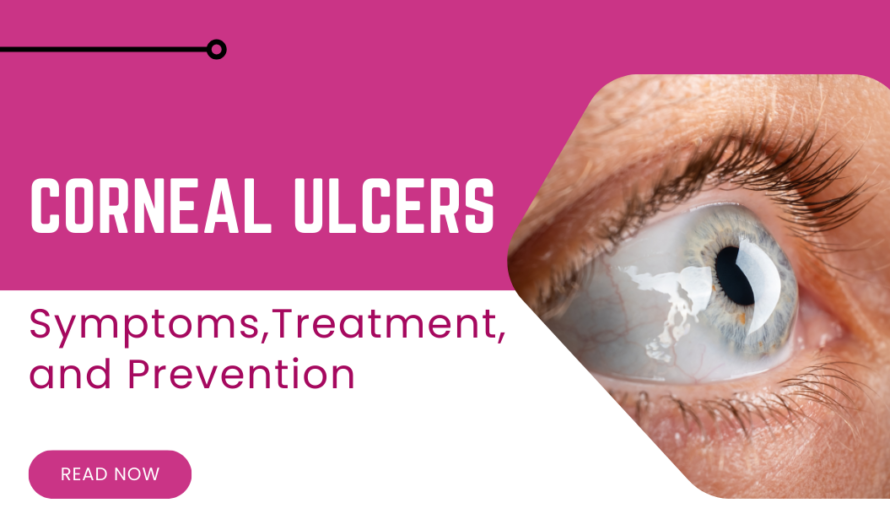 Understanding Corneal Ulcers: Symptoms, Treatment, and Prevention