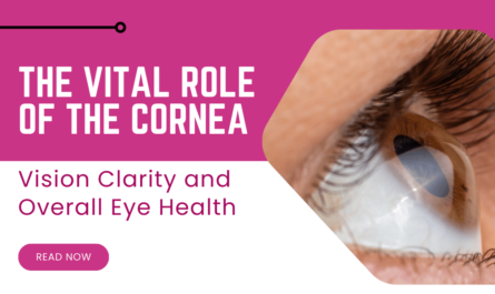 The Vital Role of the Cornea in Vision Clarity and Overall Eye Health