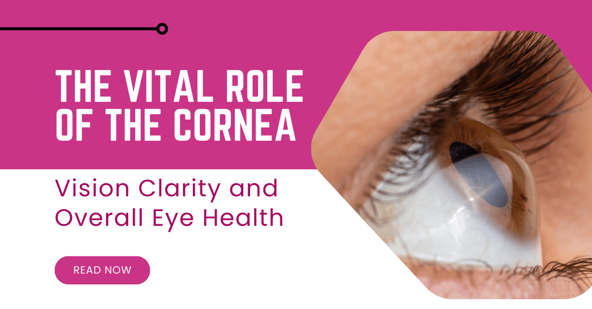 The Vital Role of the Cornea in Vision Clarity and Overall Eye Health